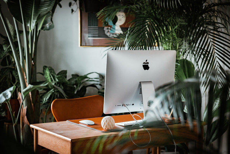 Small office plants arranged on desk and shelves to improve air quality and add natural elements to workspace