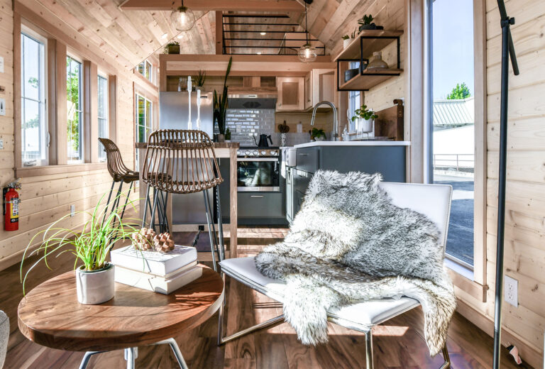 Tru Form Tiny project 1