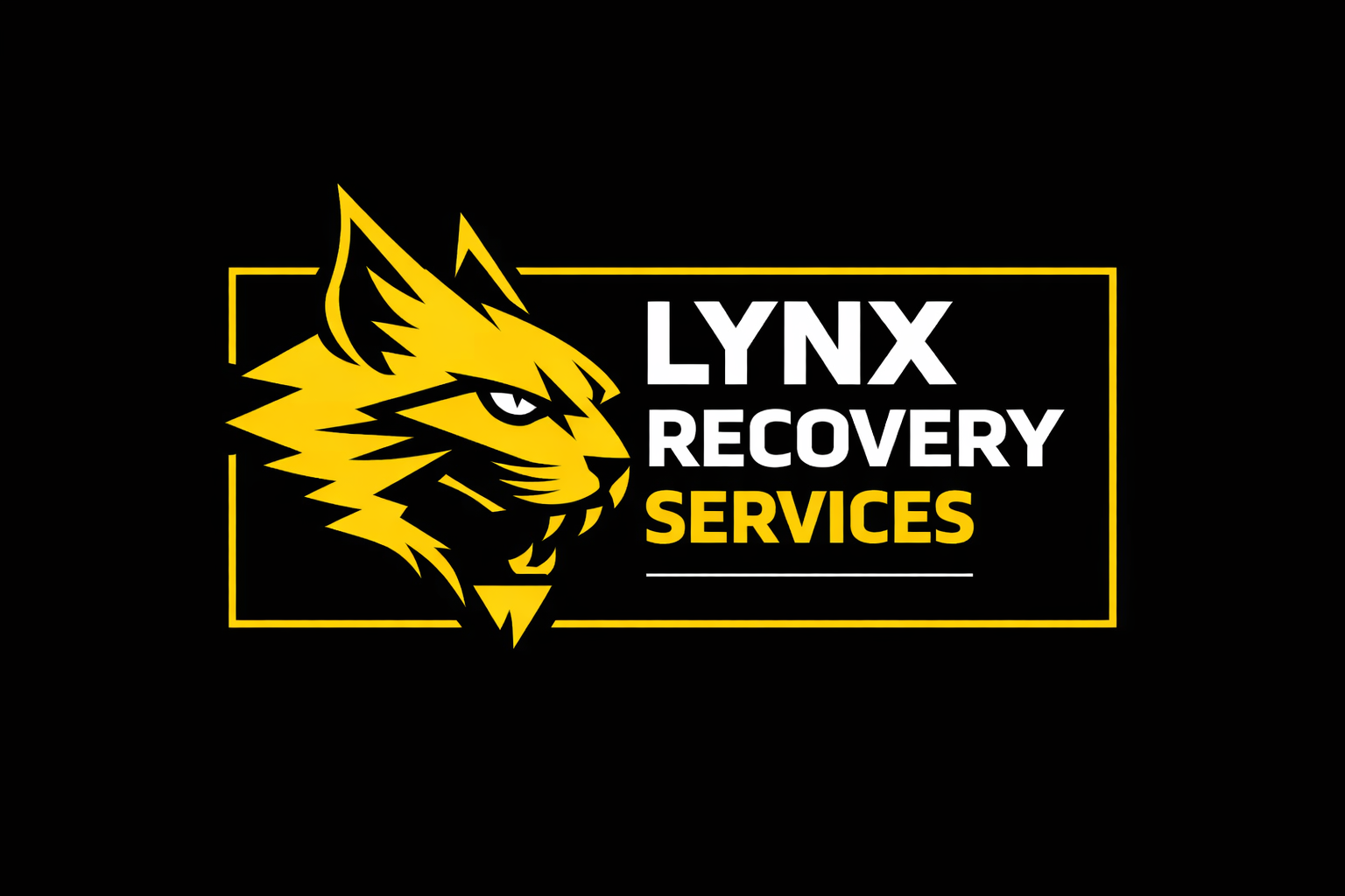 Lynx Recovery Services