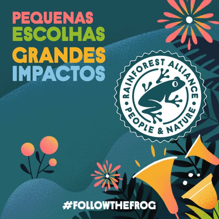 Cacau Sustentável: Certificação e Rastreabilidade para o Mercado de Chocolates Finos