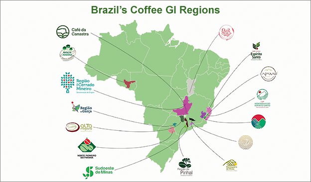 Café de Qualidade: Certificação e Rastreabilidade no Mercado Premium