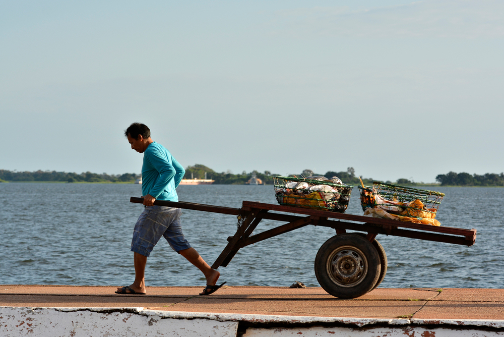 Aquicultura Sustentável: Certificação e Rastreabilidade na Produção de Pescado