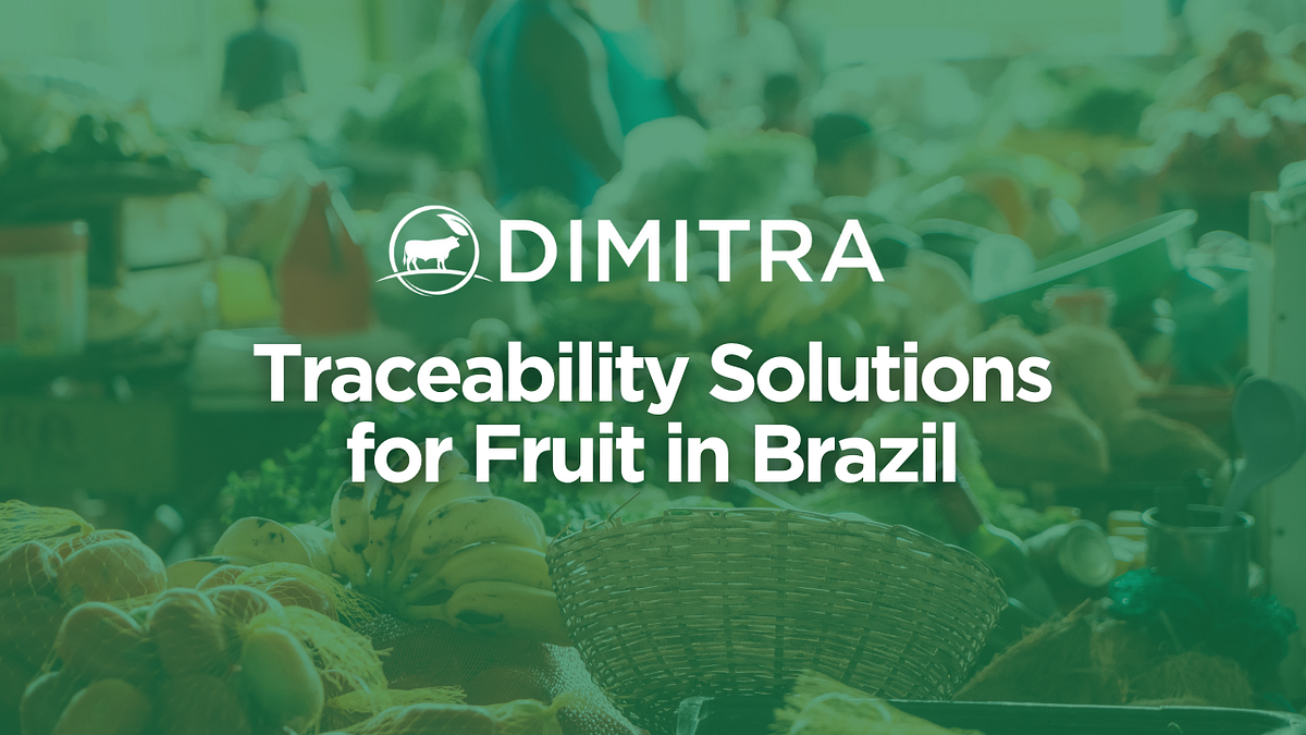 Frutas e Hortaliças: Certificação e Rastreabilidade para a Segurança Alimentar