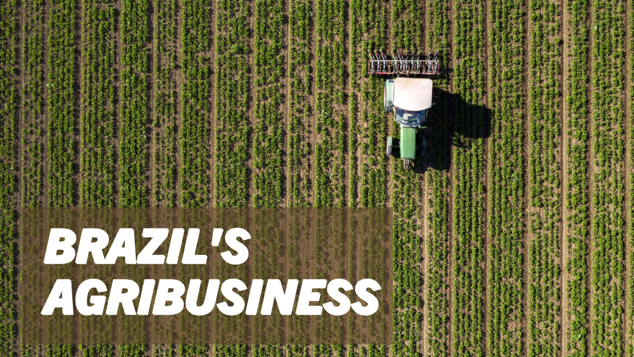 LinkedIn para Fornecedores do Agro: Como Atrair Clientes Qualificados