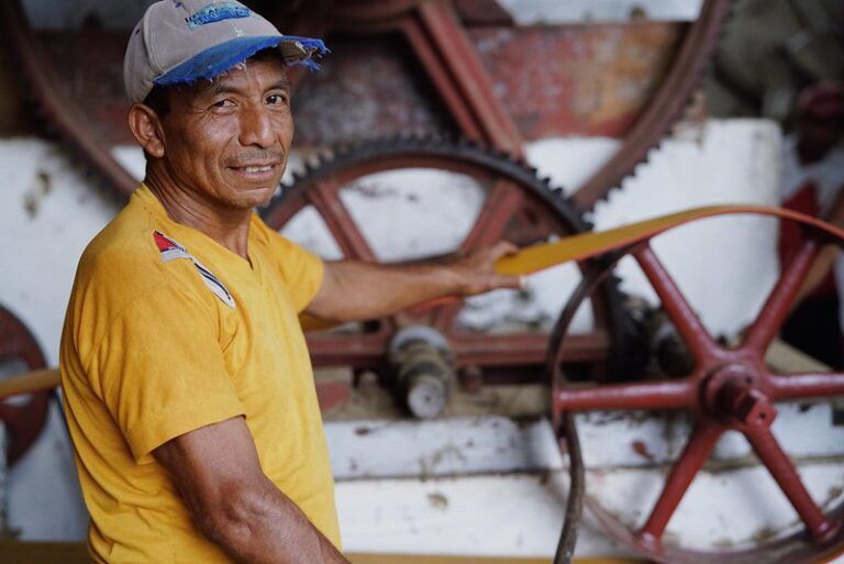 Sustentabilidade Social e Trabalhista no Agronegócio: O Pilar S do ESG