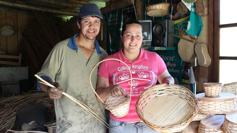 Pequeno Fornecedor do Agro: Como Competir com Grandes Empresas
