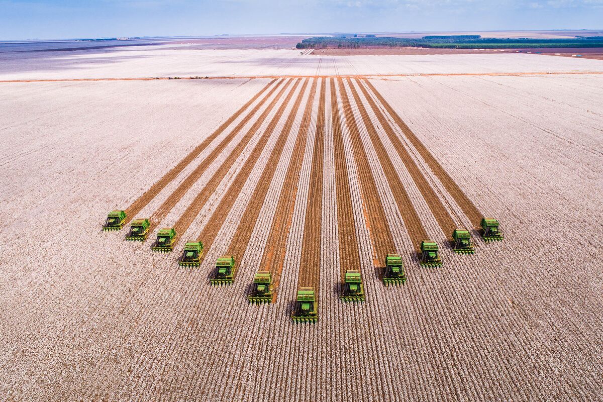 Conquistando o Primeiro Grande Cliente no Agronegócio: Passo a Passo