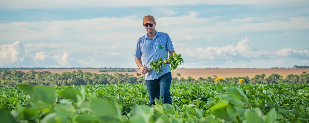 Crescimento Sustentável: Como Fornecedores do Agro Podem Escalar Sem Perder Qualidade