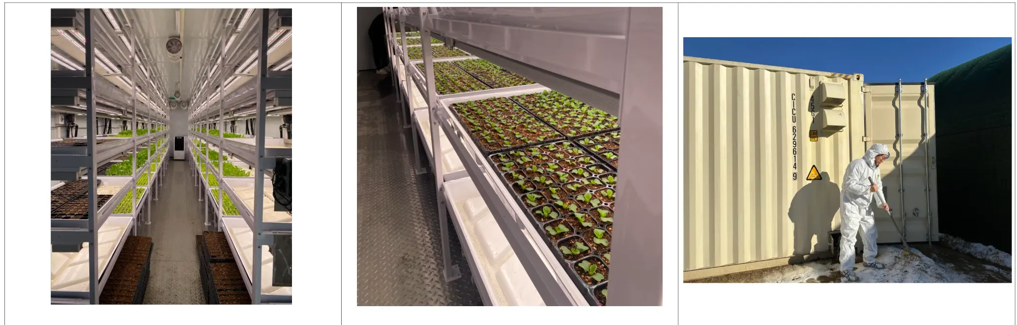 Infarmight's Hydroponic System