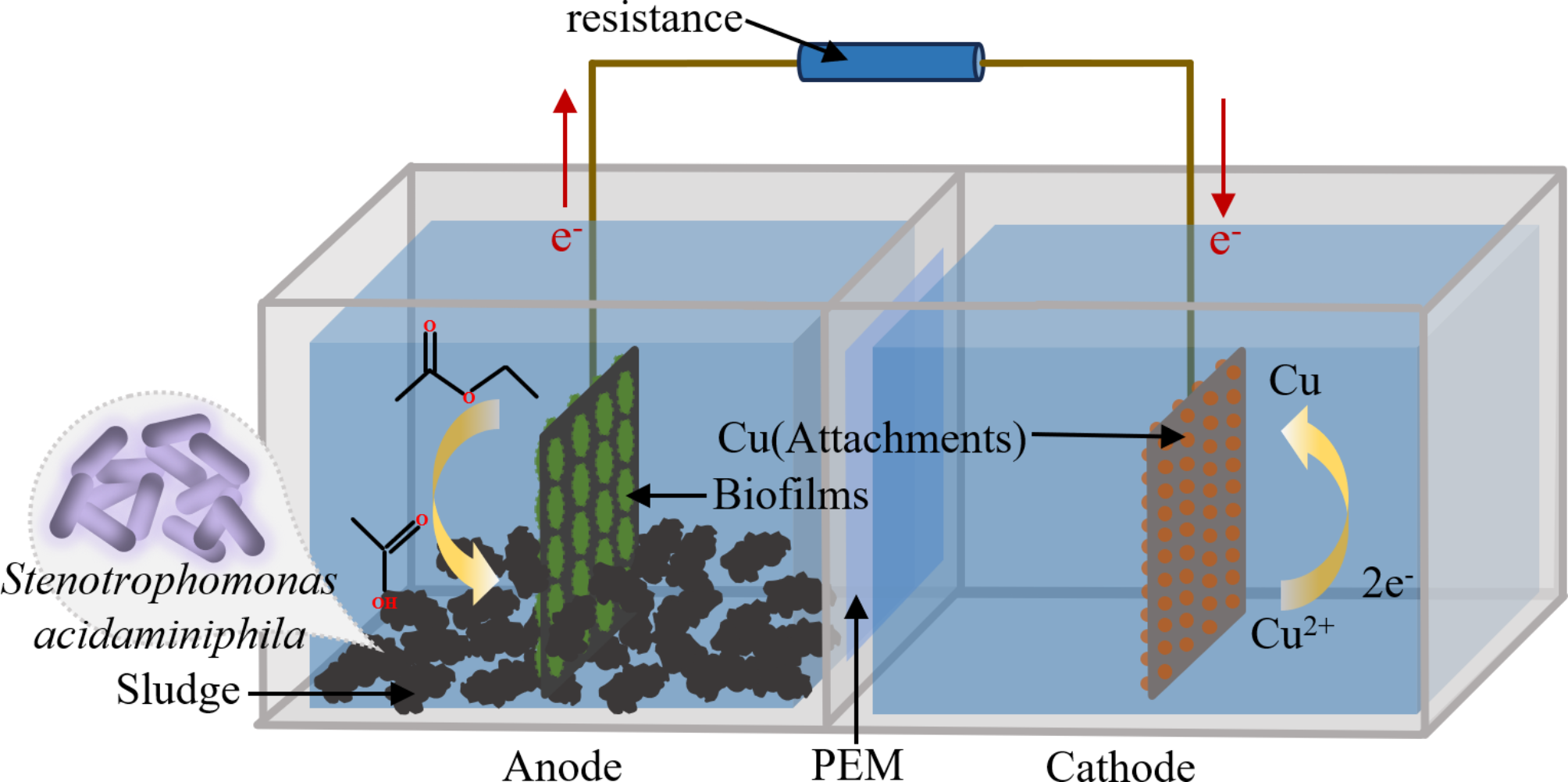 Hình ảnh minh họa một Microgrid đô thị với các nguồn năng lượng phân tán
