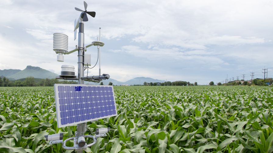 IoT Agriculture