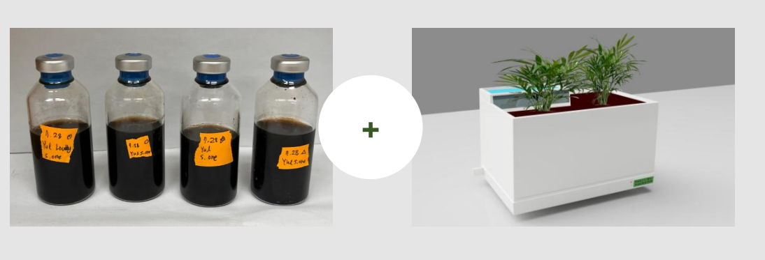 ระบบ Plant-MFC และขวดจุลินทรีย์