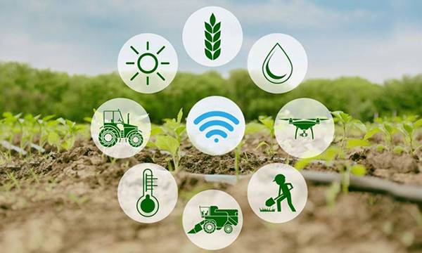 Smart Farming IoT