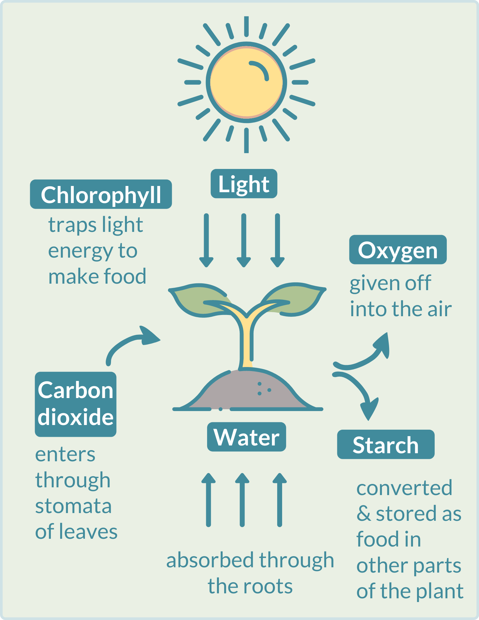 Ứng dụng Pisphere trong nông nghiệp thông minh