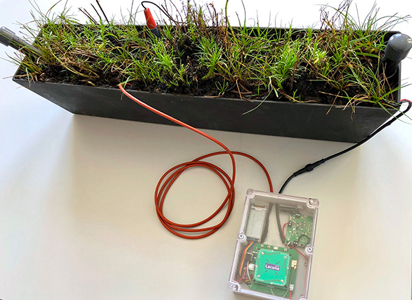 Plant MFC IoT