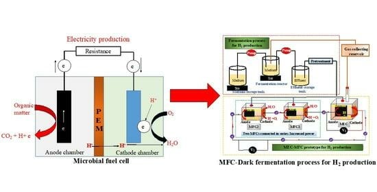 Diagram illustrating the core components and process flow of a Plant-Microbial Fuel Cell (P-MFC)