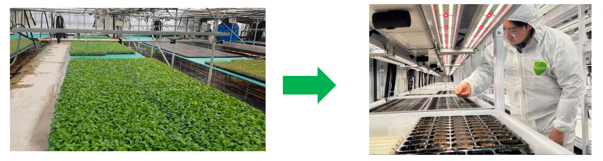 Infarmight's Controlled Environment