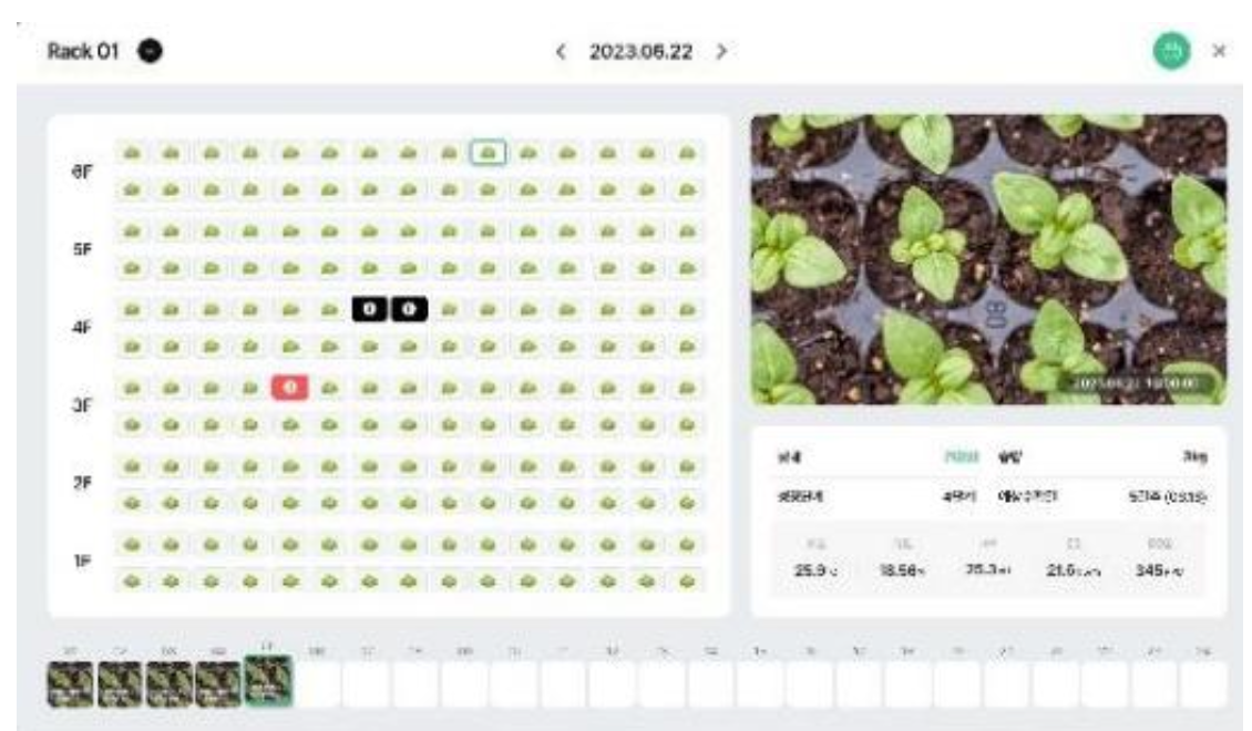 Infarmight's Vertical Farm