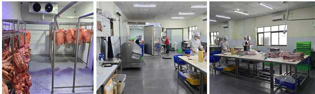 Hình ảnh một trang trại lợn hiện đại, sạch sẽ, với các thiết bị công nghệ cao và một người nông dân đang mỉm cười, tượng trưng cho sự thành công và thư thái