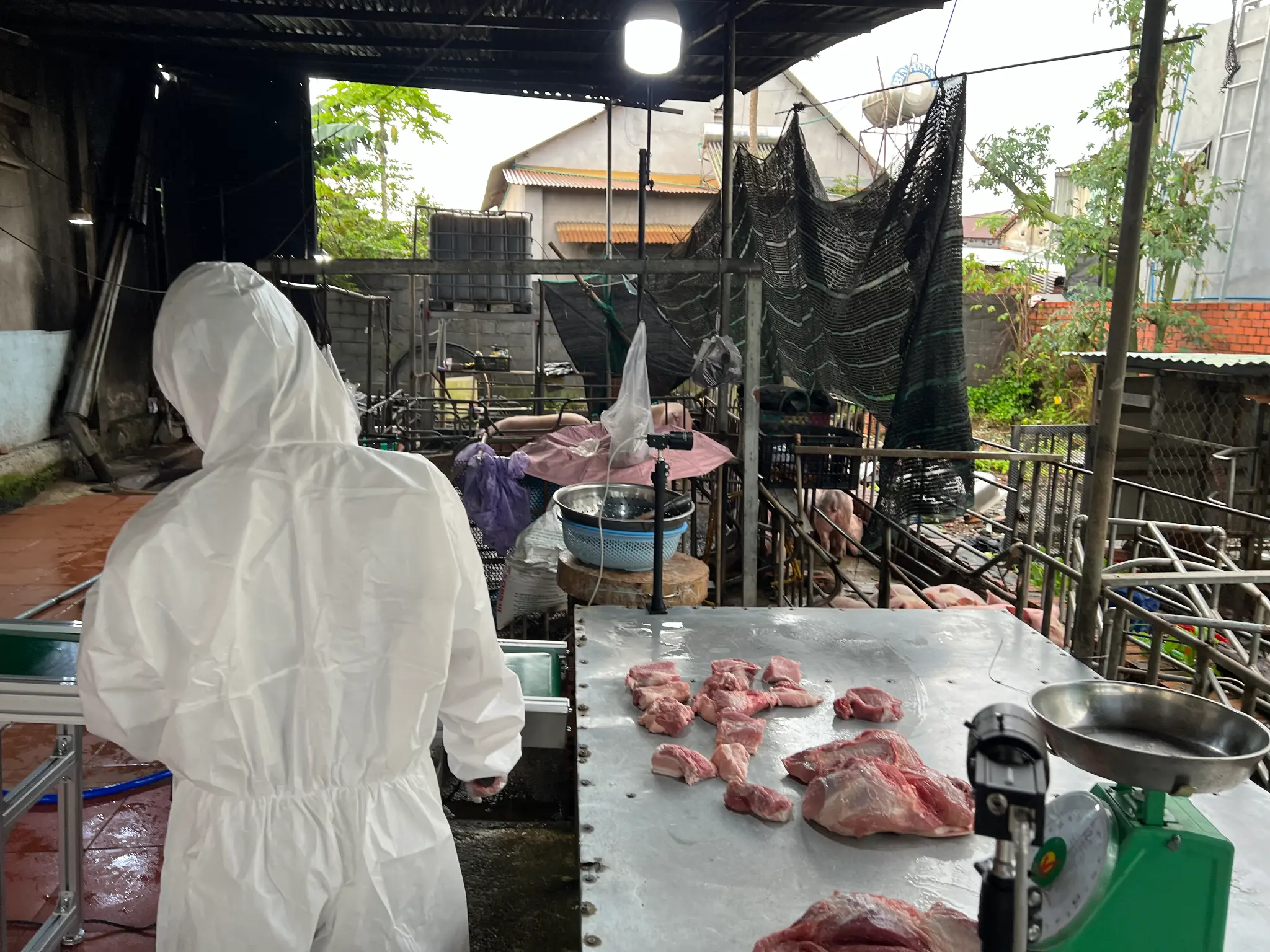 Trackfarm Logo and Future Vision