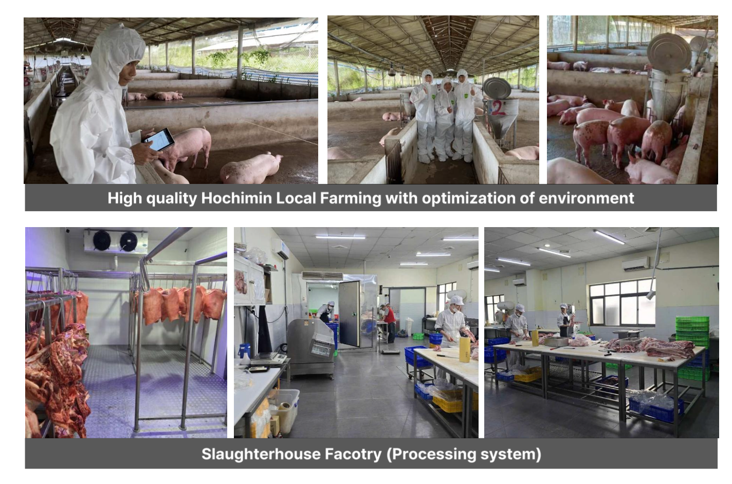 Mô hình trực quan hóa dữ liệu khai thác từ chuồng trại thông minh