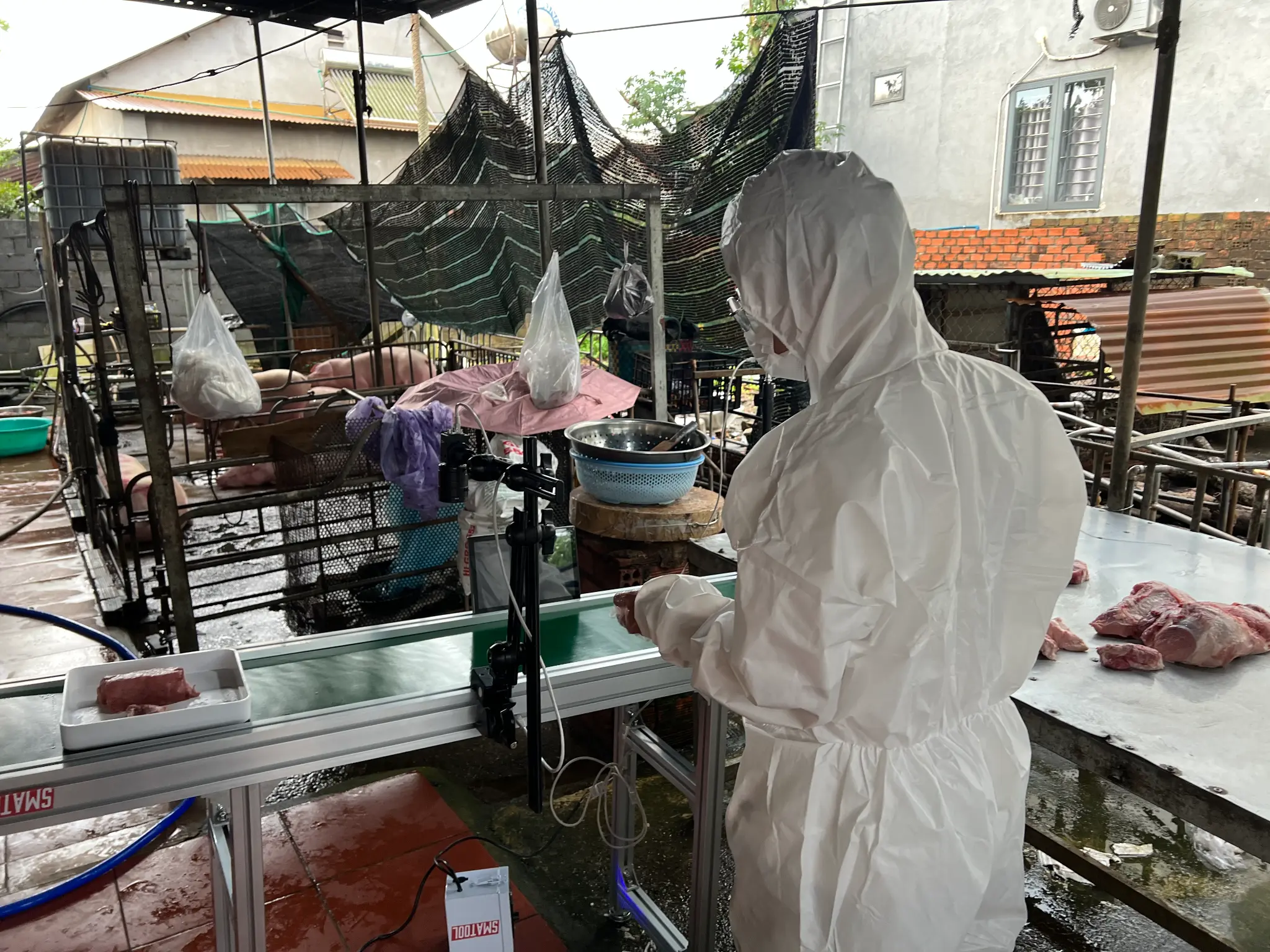 Cảm biến môi trường được lắp đặt trong chuồng