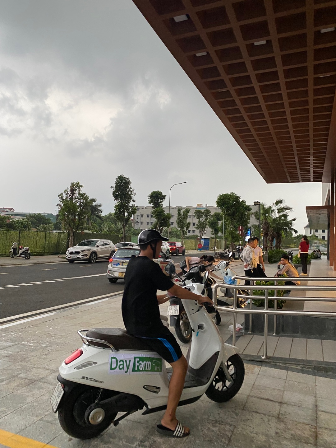 Hình ảnh đồ họa 3D thể hiện sự kết nối giữa dữ liệu, đám mây và trang trại thông minh, tượng trưng cho công nghệ của Trackfarm