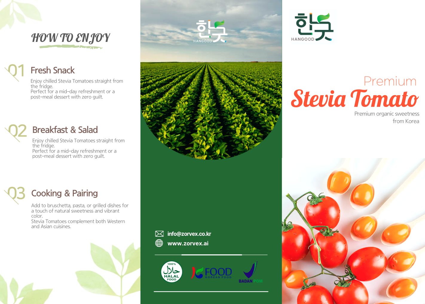 Infografis manfaat Tomat Stevia