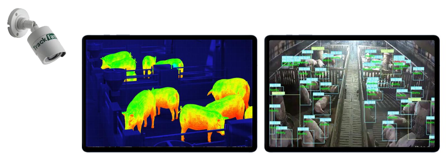 Ý tưởng sơ đồ Infographic mô tả sự chuyển đổi dòng tiền và lợi nhuận của trang trại sau khi áp dụng Trackfarm, nhấn mạnh điểm hòa vốn nhanh chóng