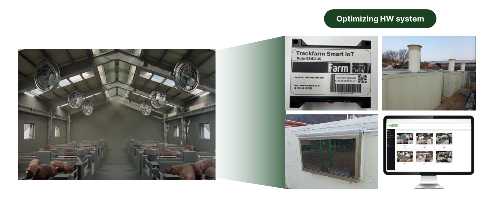 Hình ảnh cận cảnh một con heo khỏe mạnh trong chuồng trại sạch sẽ, được giám sát bởi camera AI, tượng trưng cho kết quả của công nghệ Trackfarm