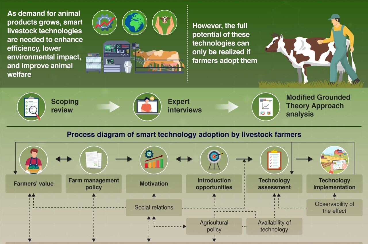 A wide-angle view of the interior of a large, modern pig barn, showing clean, spacious pens and subtle placement of smart technology, emphasizing the integration of tech and comfort.