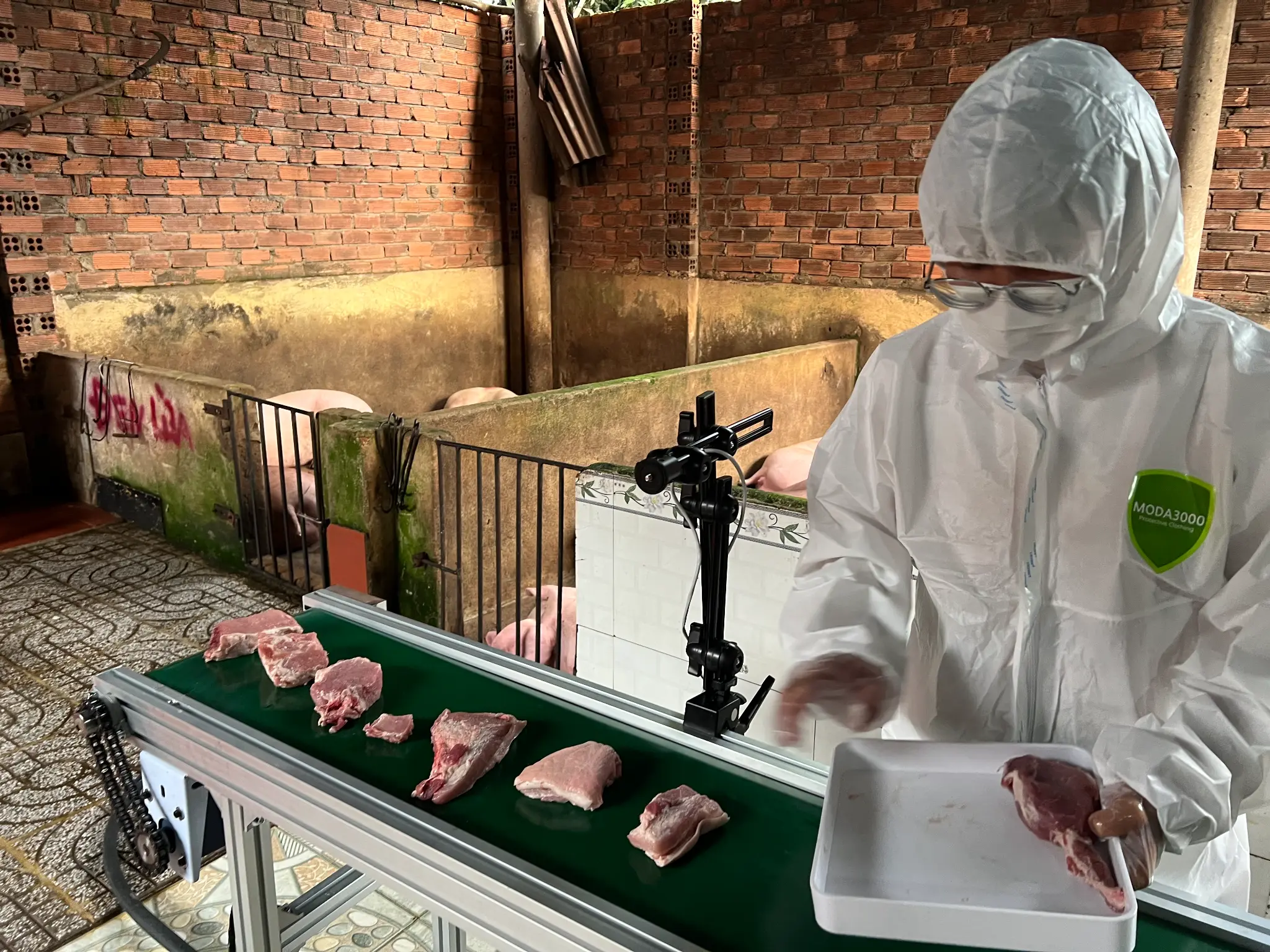 Cảm biến và thiết bị giám sát trong chuồng heo