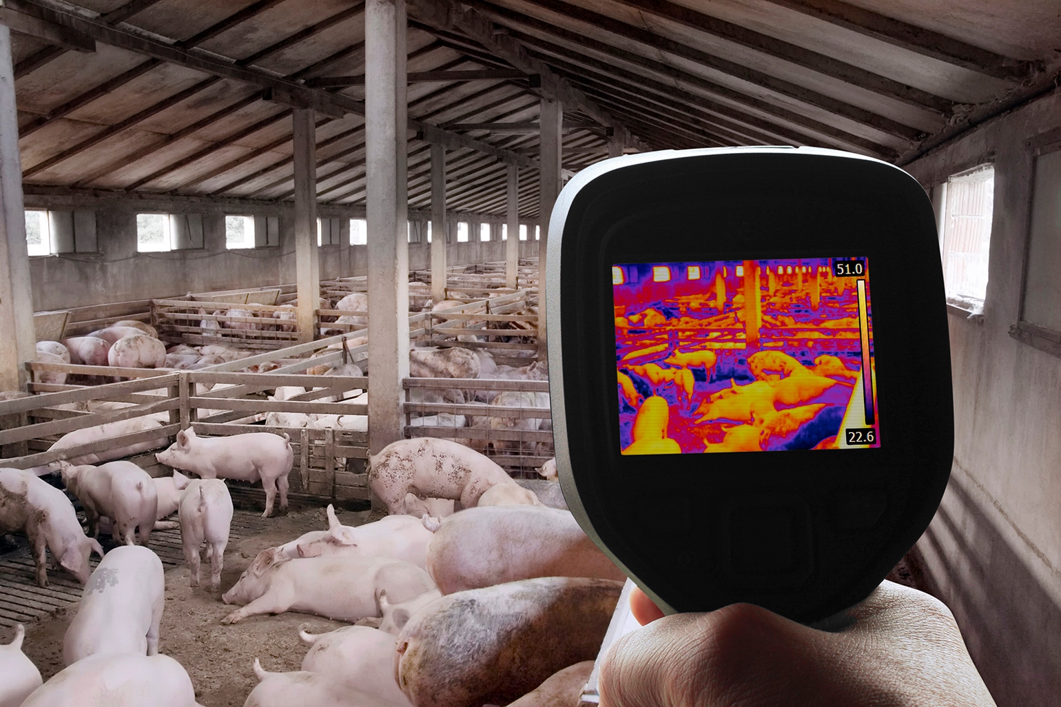 A close-up image of a small, non-invasive sensor device attached to a pen wall inside a pig barn, illustrating the IoT technology at the heart of Trackfarm's data collection.