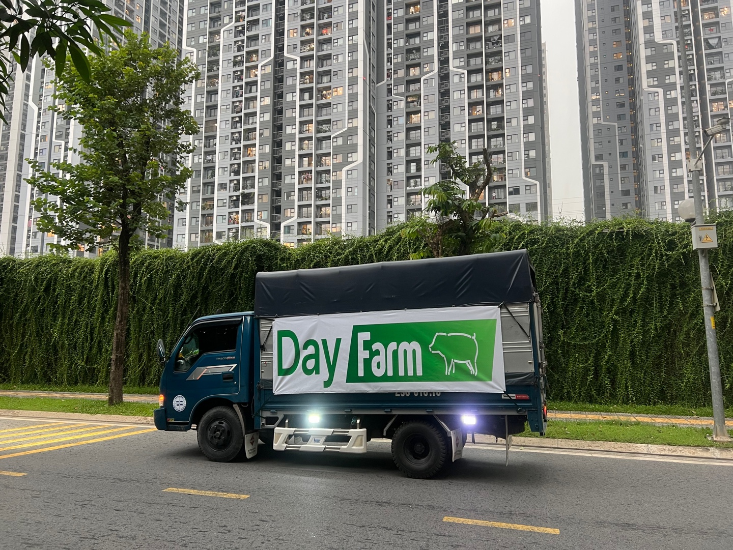 A complex infographic showing the data flow from barn sensors to the cloud-based AI engine, illustrating the data mining and predictive modeling process