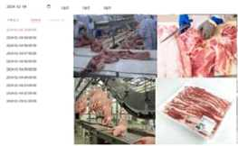 Hình ảnh 3: Lợn con khỏe mạnh trong môi trường chuồng nuôi sạch sẽ