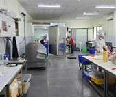 A picture of healthy, active piglets resting comfortably in a well-maintained pen.