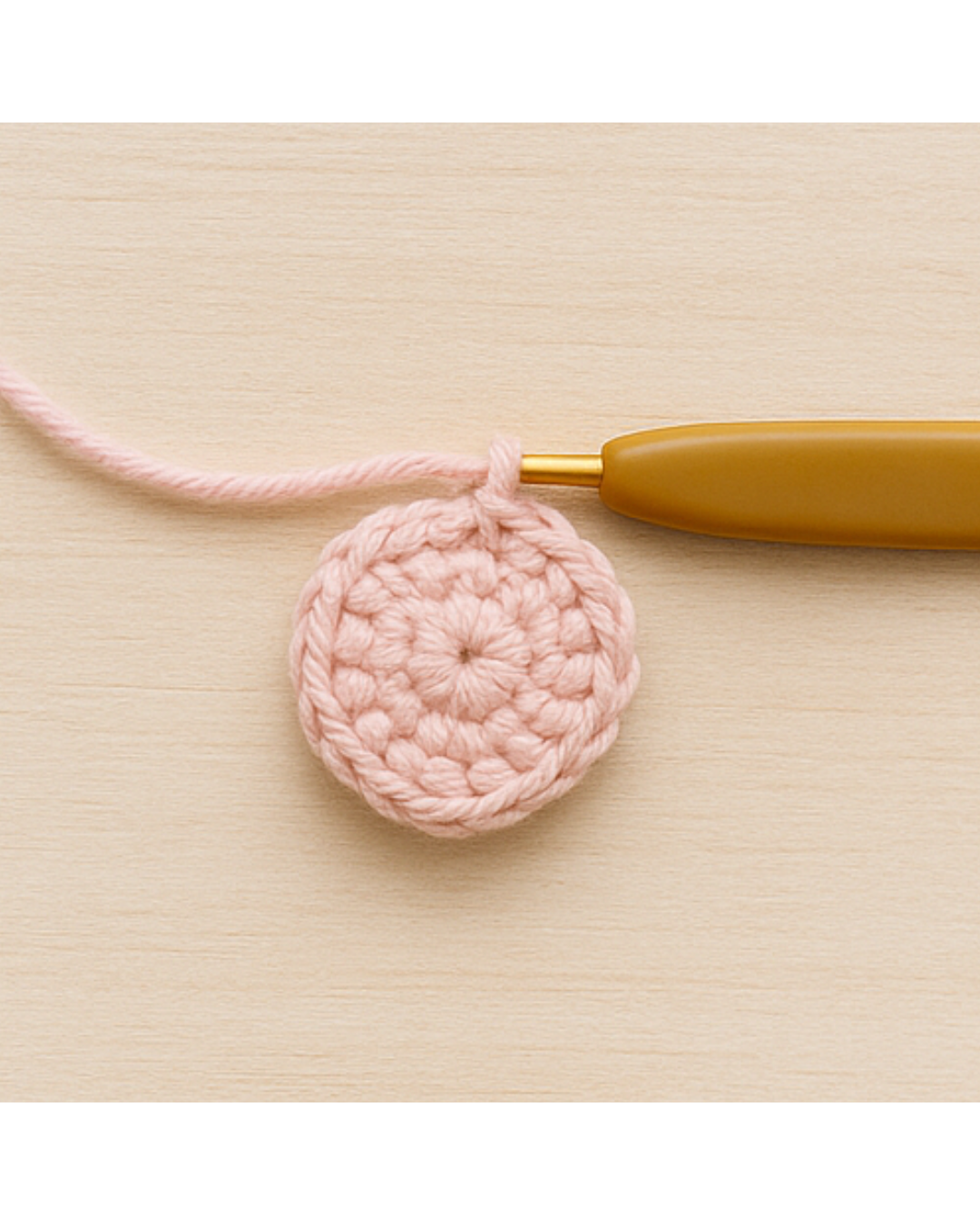 Etapa 4 - Círculo Completo