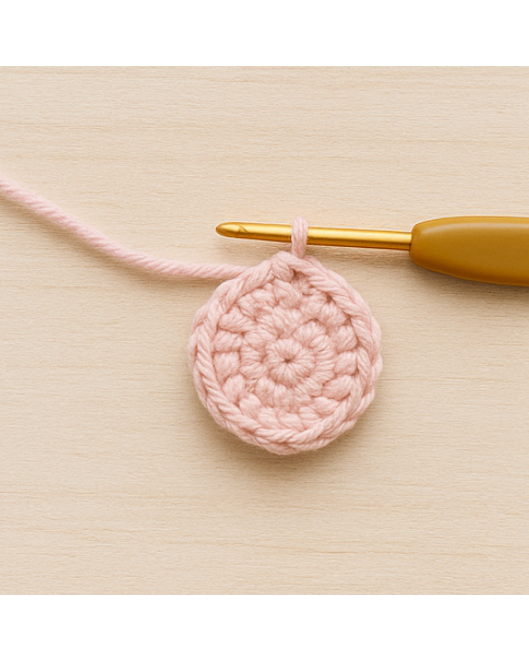 Etapa 3 - Círculo Preenchido