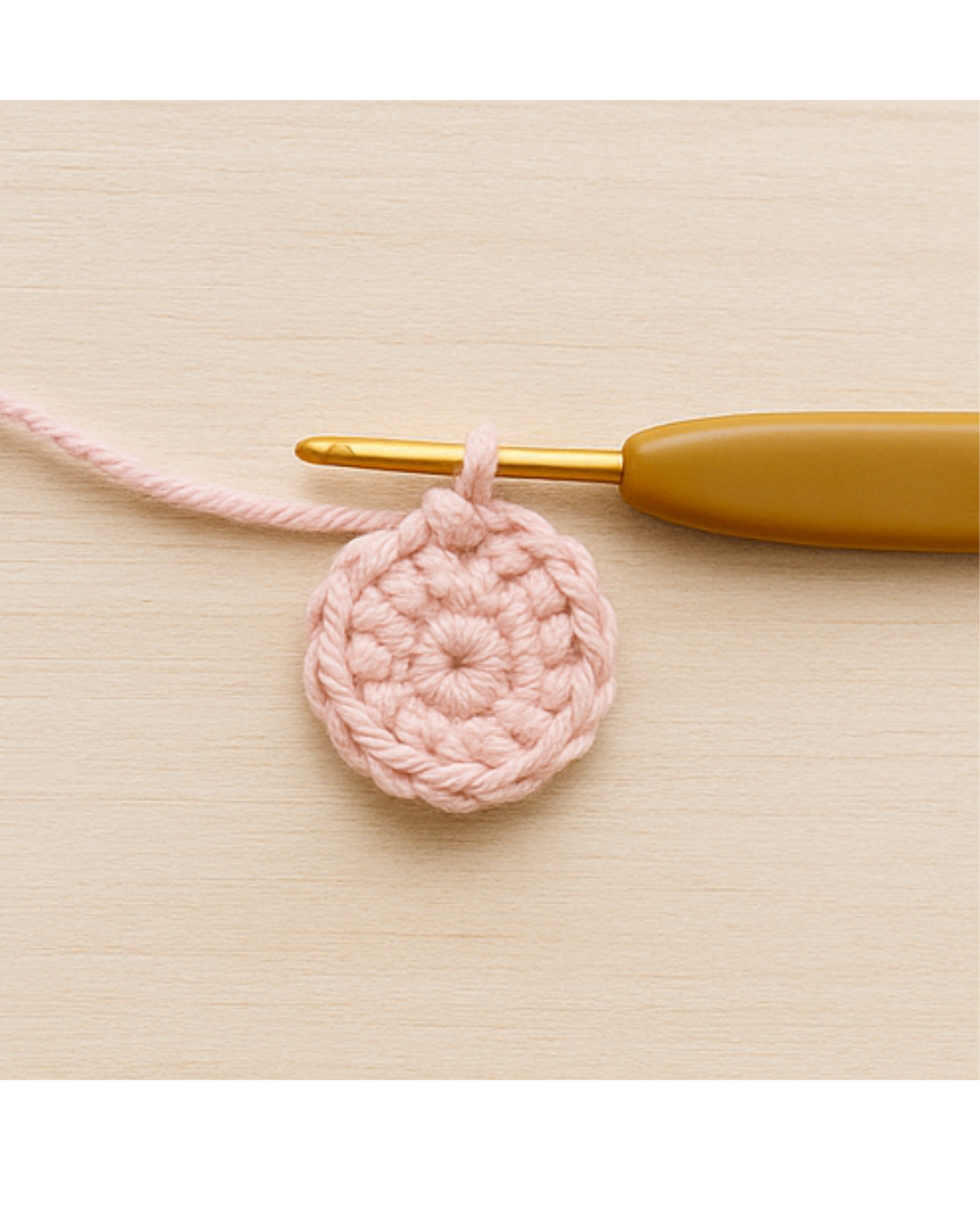 Etapa 2 - Primeiro Círculo